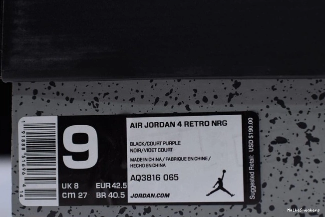 MaikeSneakers NRG Retro Air Raptors
